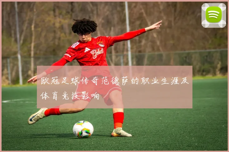 欧冠足球传奇范德萨的职业生涯及体育竞技影响